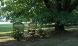 Casaforte di Bergum, Friuli Venezia Giulia, Remanzacco