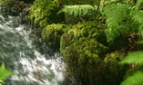 Swinton Park - Le Nord de l'Angleterre - Masham