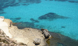 La Calandra - Sicilia - Lampedusa Isola