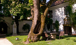 Hotel Schloss Leonstain - Carinzia e Klagenfurt - P�rtschach am W�rther See