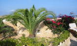 Villaggio Albergo I Dammusi di Borgo Cala Creta - Sicily - Lampedusa Island