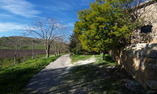 Farm Ospitalit� di Campagna - Sicile - Butera