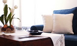 Cas Comte Petit Hotel & Spa - Islas Baleares - Mallorca