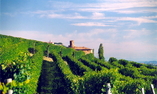 Hotel Al Castello di Novello, Piemonte, Novello