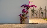 Furnirussi Tenuta - Apulia - Carpignano Salentino