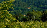 Castel Pergine, S�dtirol-Trentin, Pergine Valsugana