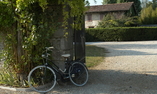 Casaforte di Bergum, Friuli Venezia Giulia, Remanzacco