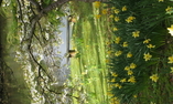 Swinton Park - Le Nord de l'Angleterre - Masham