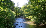 Craig y Nos Castle - Il Sud del Galles - Powys