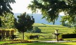 Ch�teau d'Isenbourg - Elsass - Rouffach