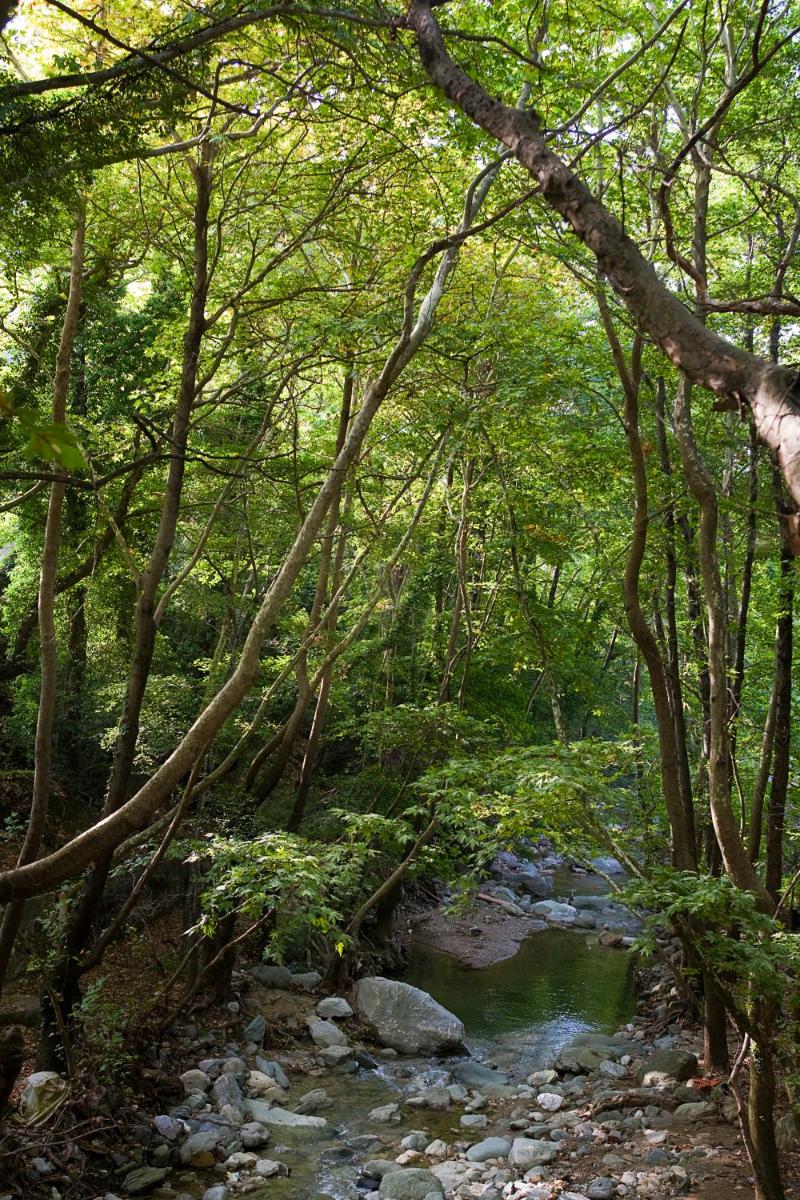 12 Months Resort & Spa