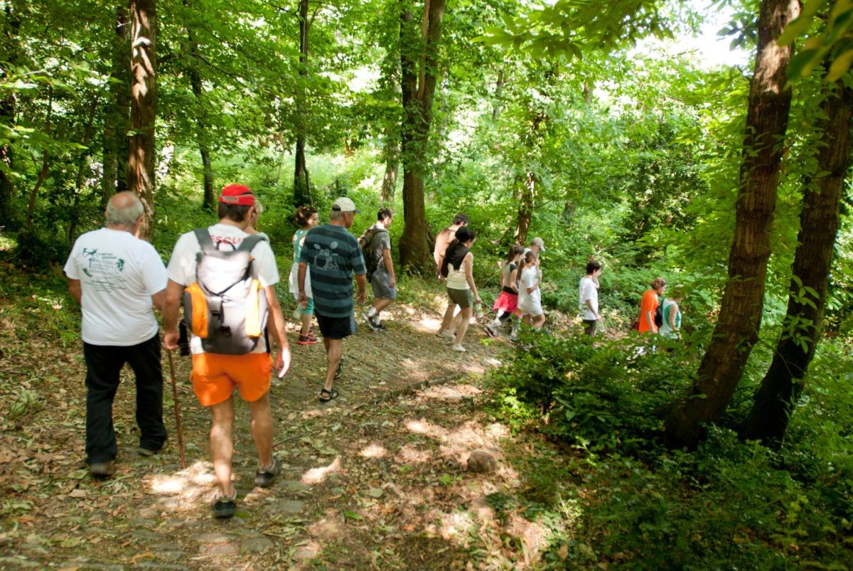 12 Months Resort & Spa