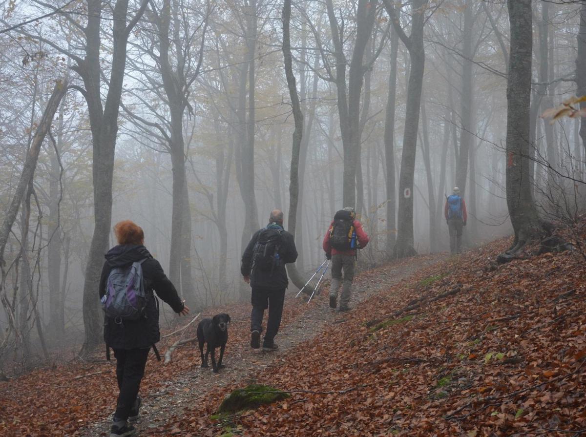 12 Months Resort & Spa