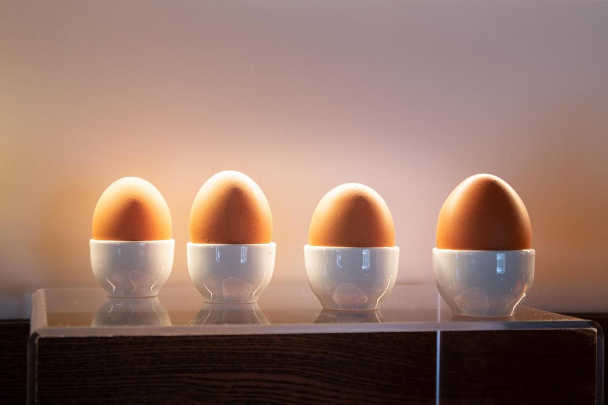 21Barra5 Guest House