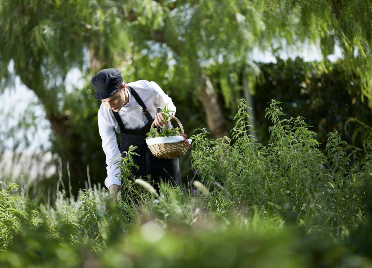 Boutique 5 Hotel & Spa - Adults Only