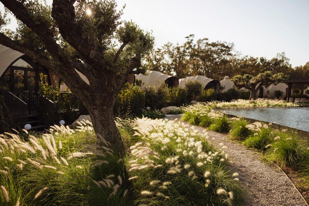 91 Athens Riviera, The Resort