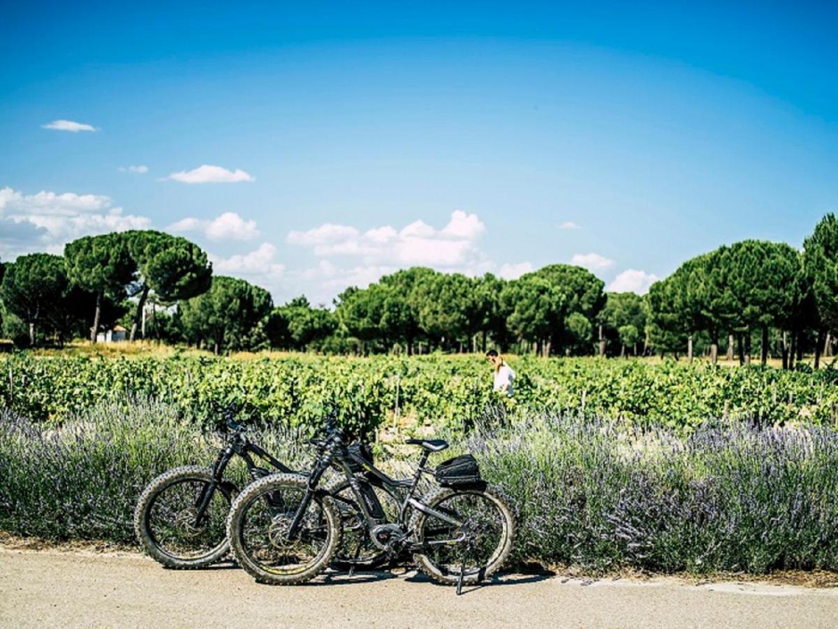 Abadia Retuerta LeDomaine