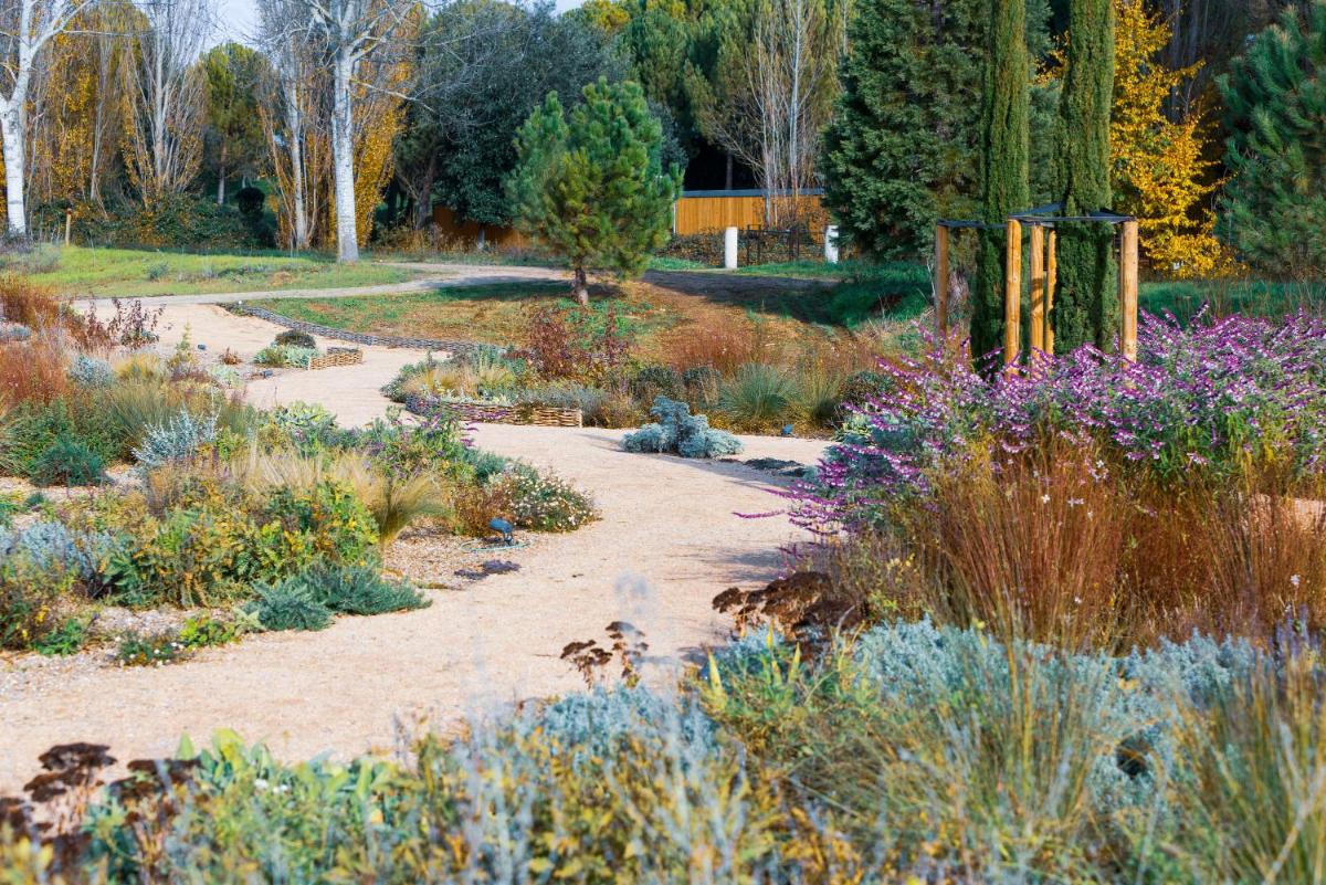 Abadia Retuerta LeDomaine