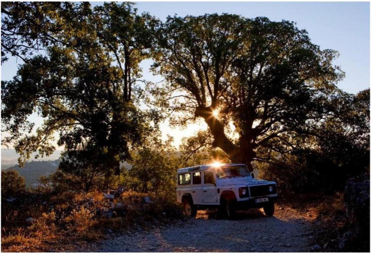 Abadia Retuerta LeDomaine