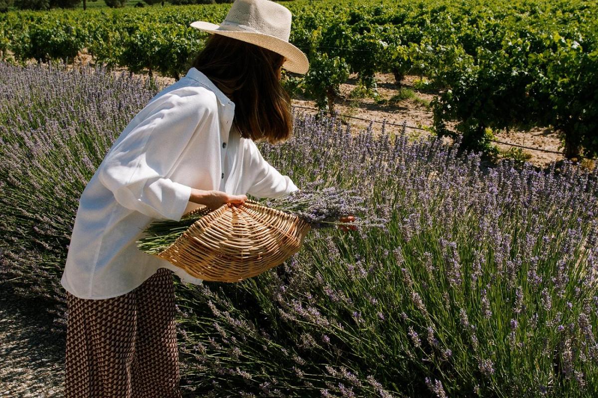 Abadia Retuerta LeDomaine