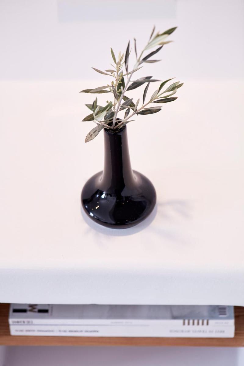 Absolute Mykonos Suites & More