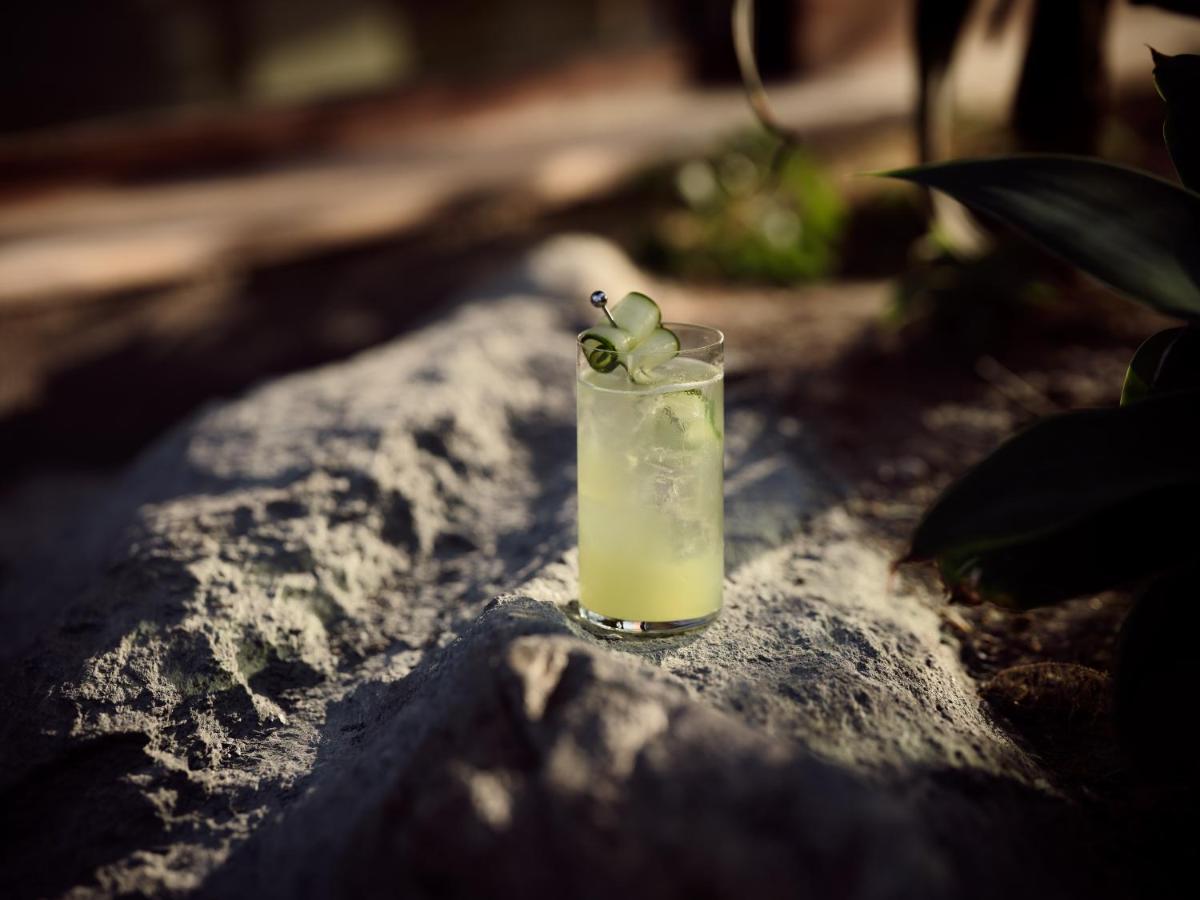 Acro Suites - A Wellbeing Resort