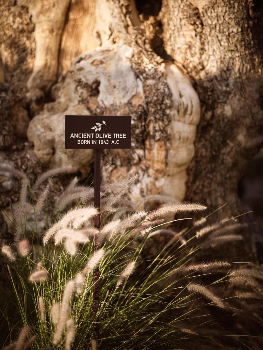 Acro Suites - A Wellbeing Resort