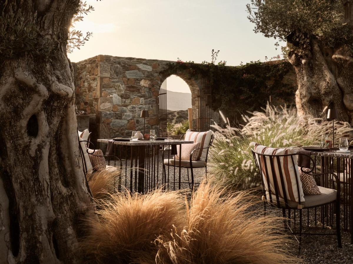 Acro Suites - A Wellbeing Resort