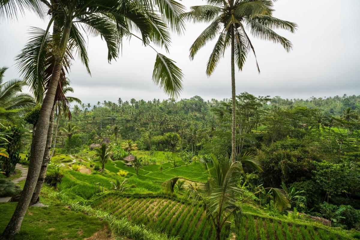 Adiwana Dara Ayu Villas