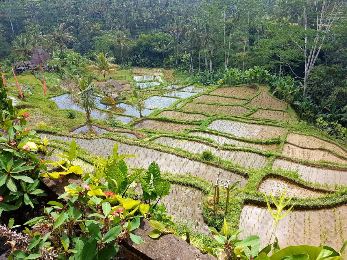 Adiwana Dara Ayu Villas