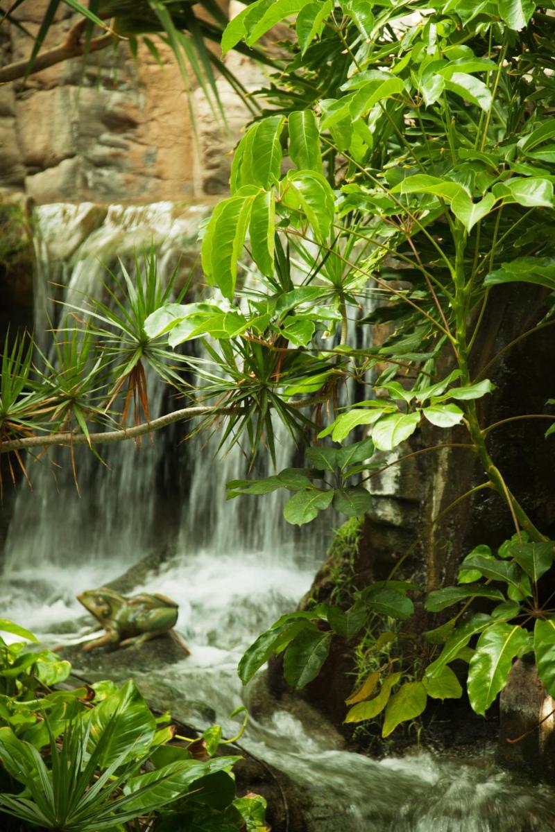 Adrián Hoteles Jardines de Nivaria