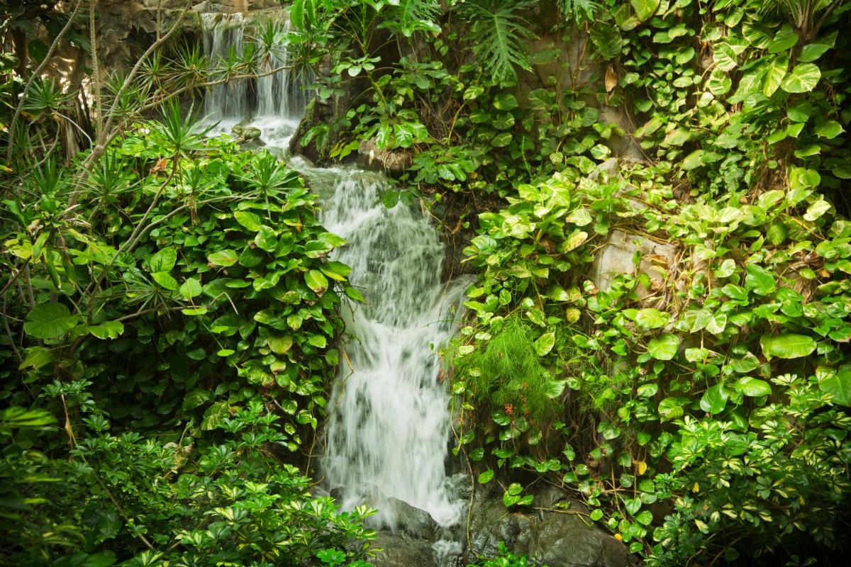 Adrián Hoteles Jardines de Nivaria