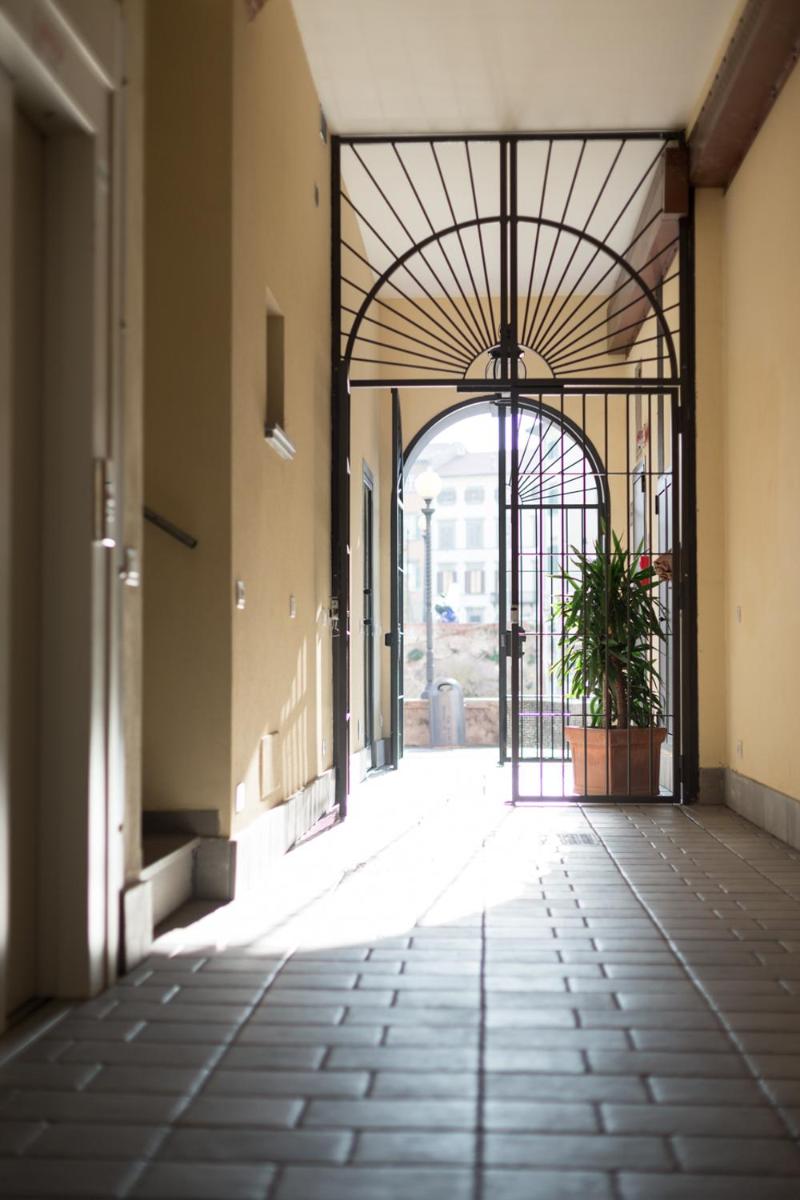 Agave in Città