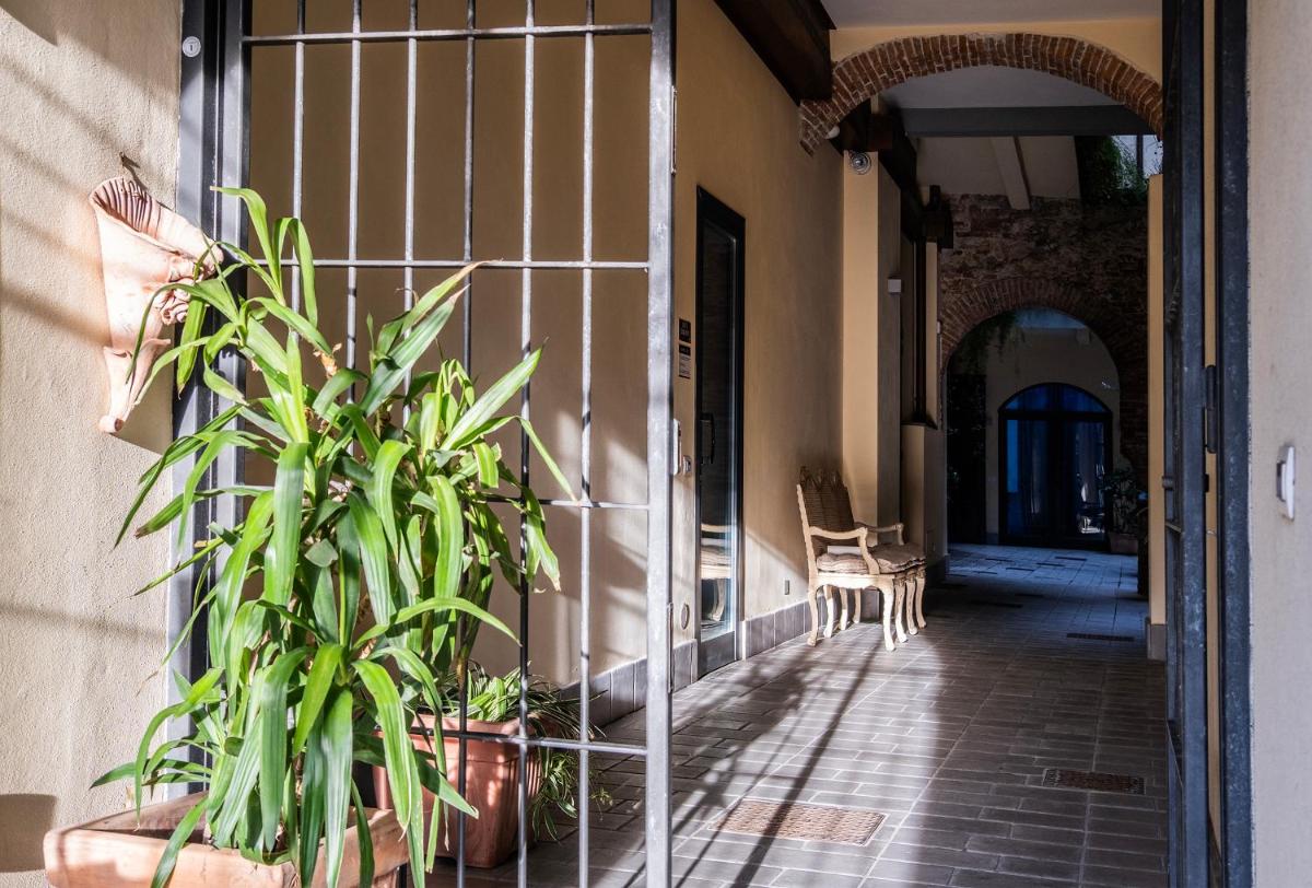 Agave in Città