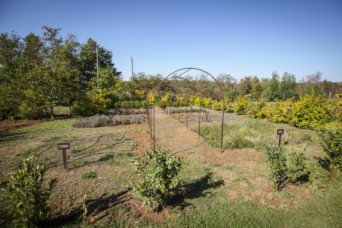 Agriturismo Bannata