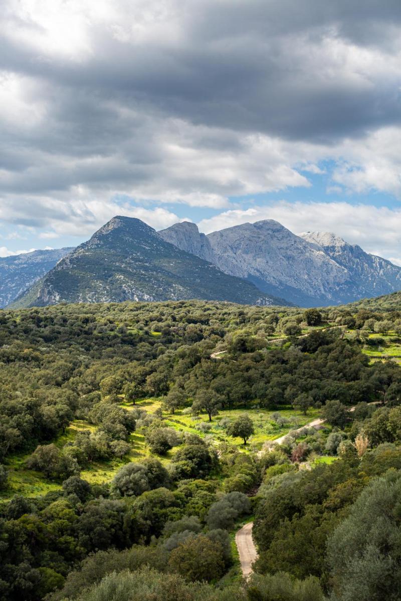 Agriturismo Canales