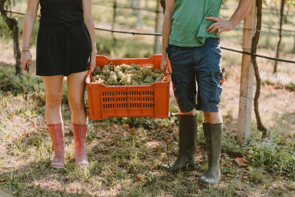 Agriturismo Corte Pravecchio