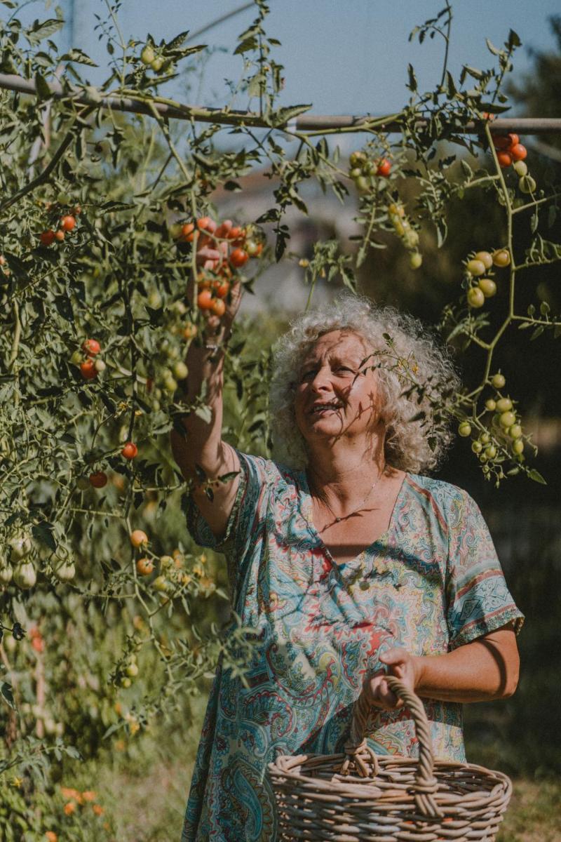 Agriturismo Corte Pravecchio