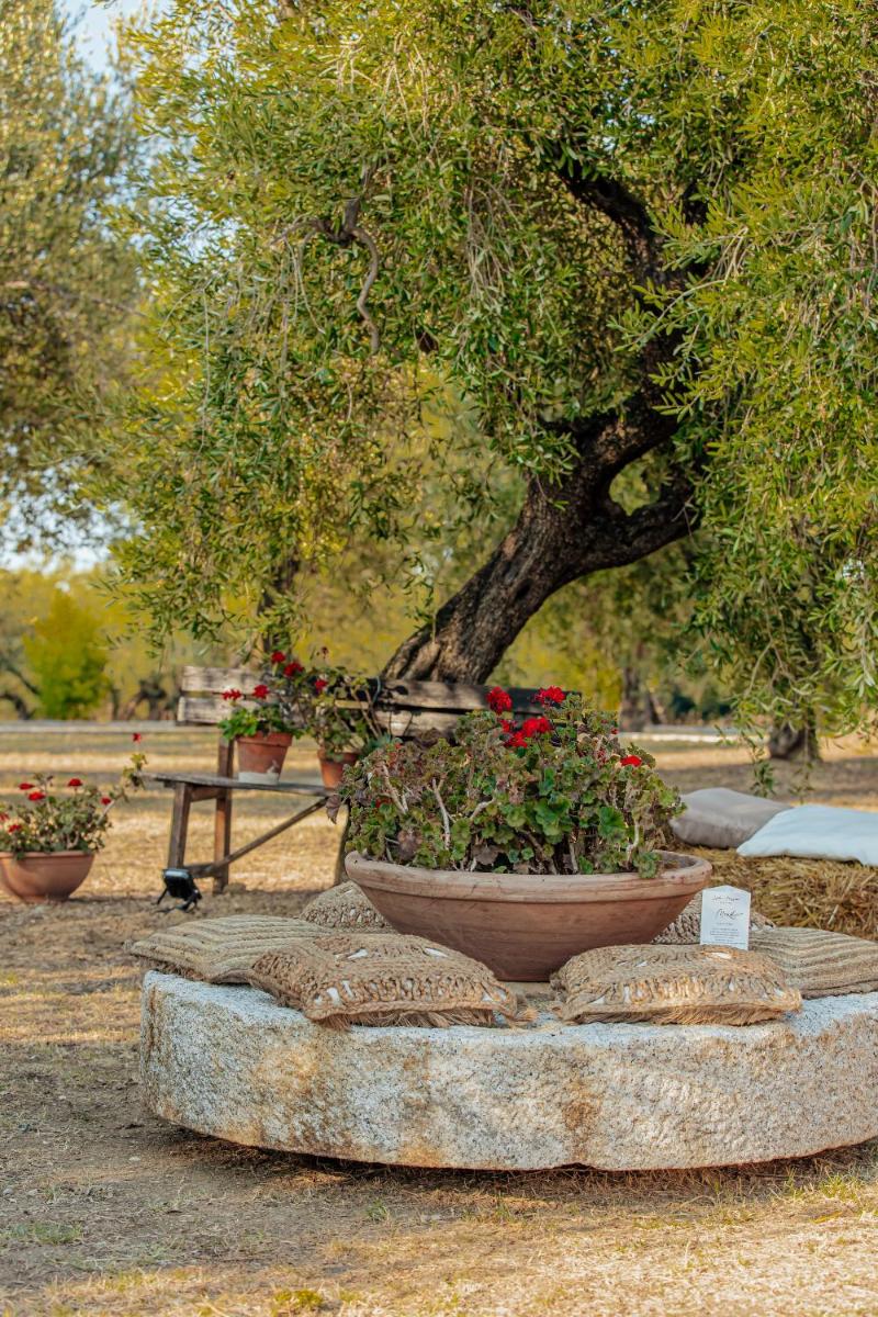 Agriturismo L'Elisir di Atena