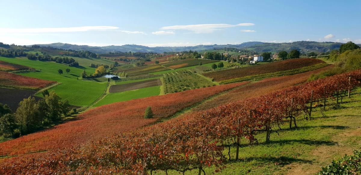 Agriturismo Opera 02