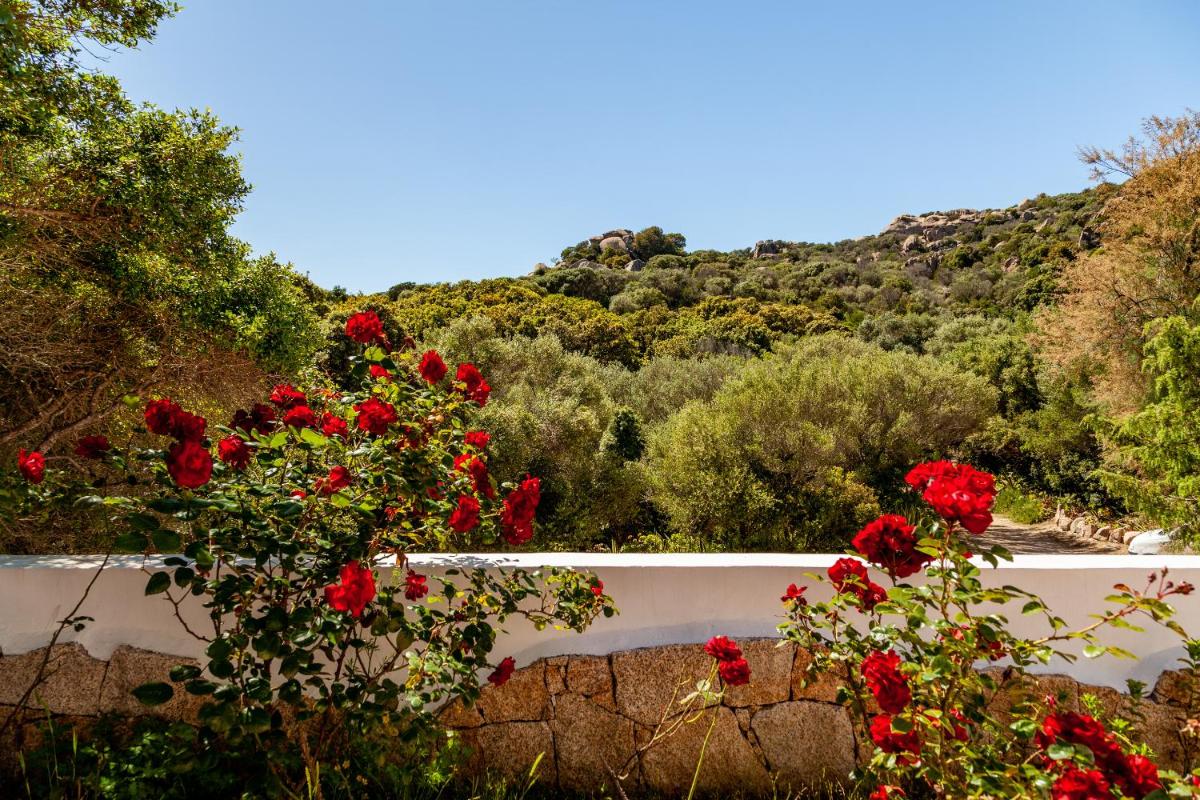 Casa Saltara