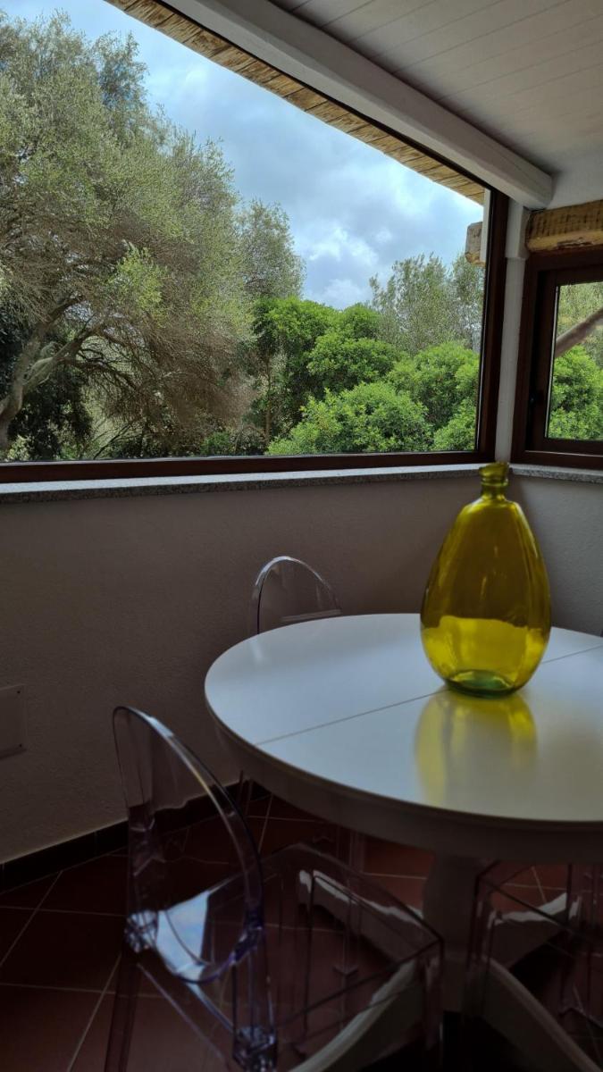 Casa Saltara