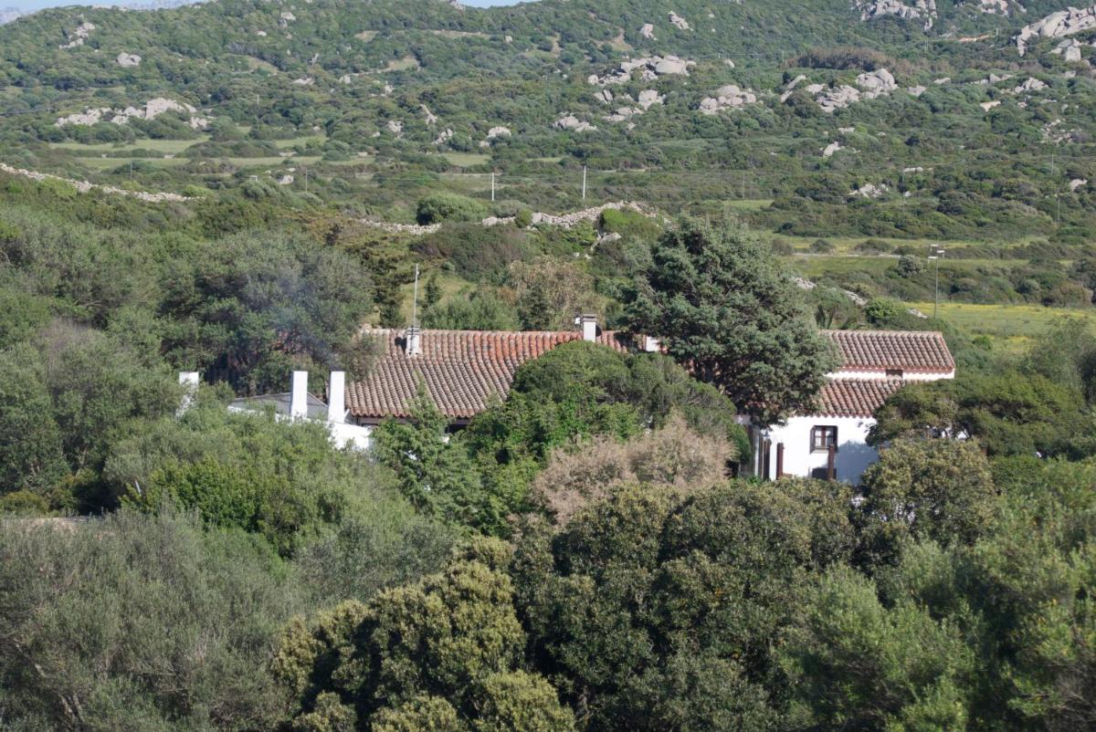 Casa Saltara