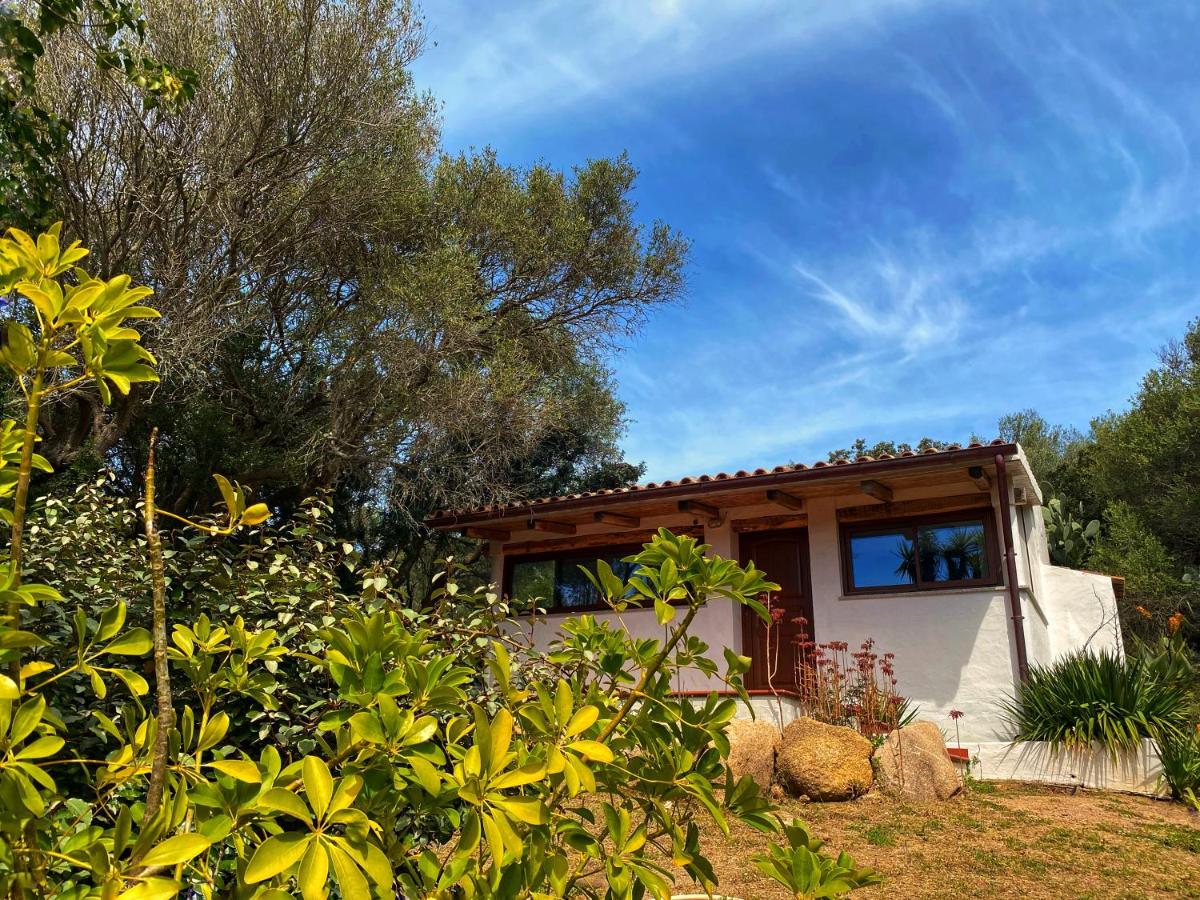 Casa Saltara