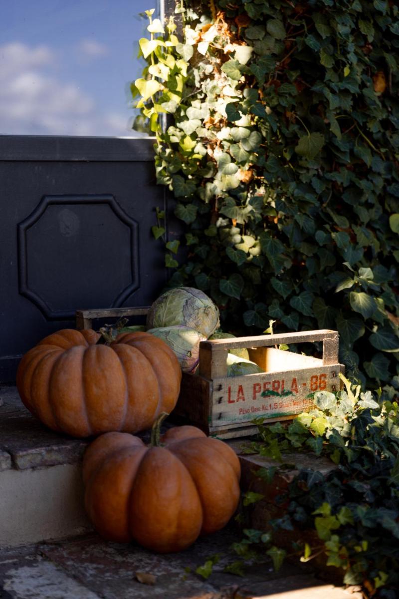 Agriturismo San Martino