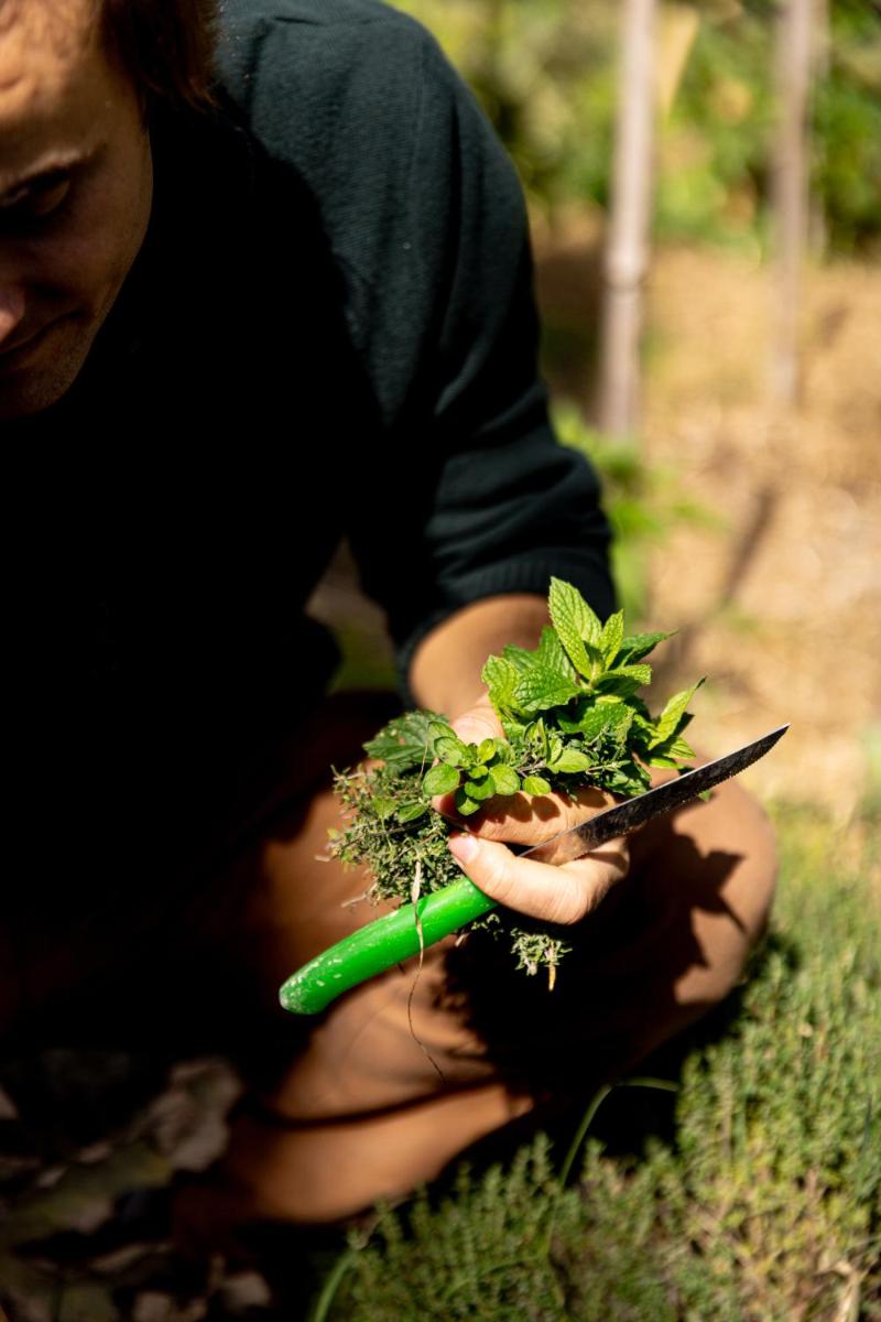 Agriturismo San Martino