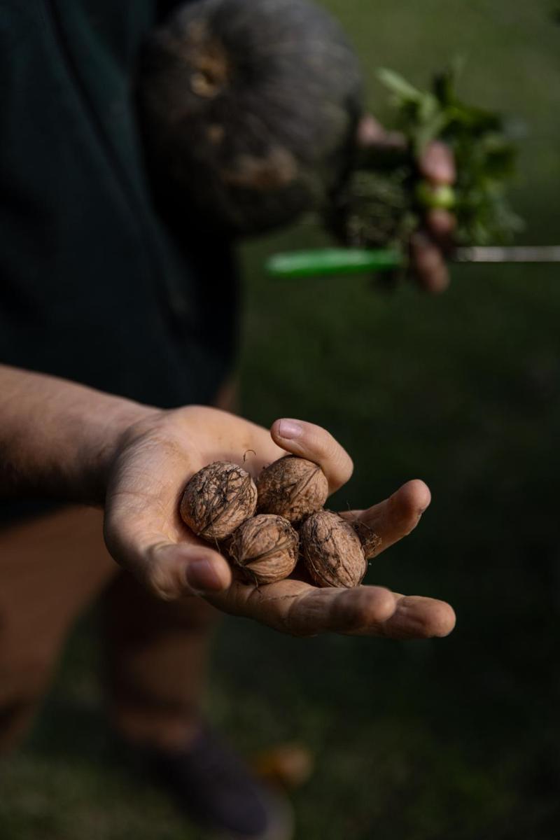 Agriturismo San Martino