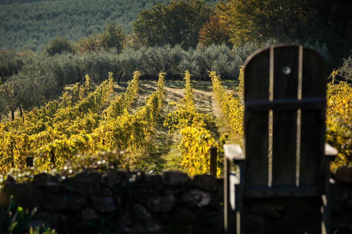 Agriturismo San Martino