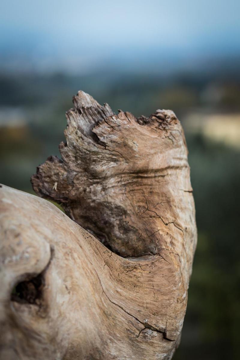 Agriturismo San Martino