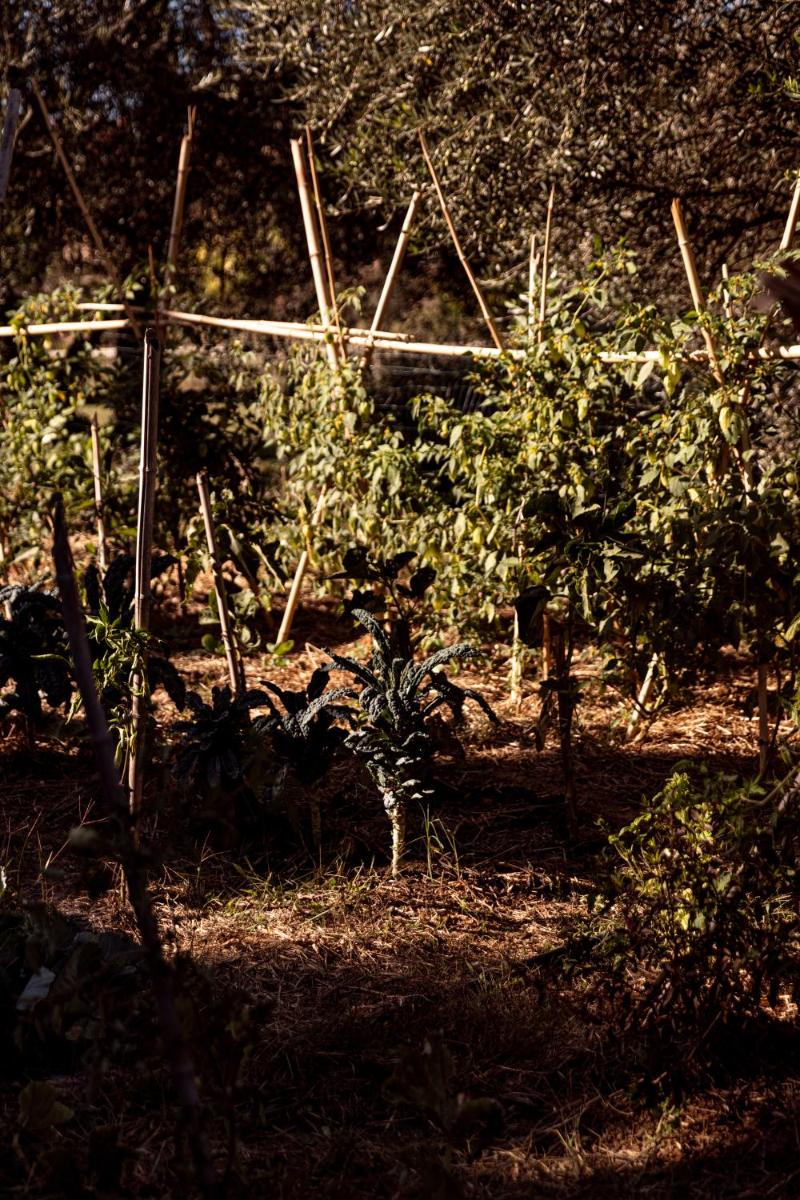 Agriturismo San Martino